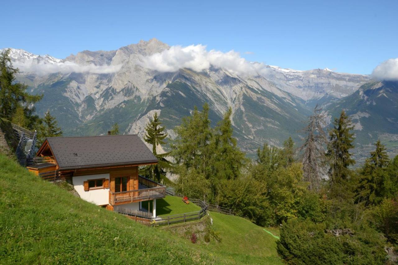 Ann LANDSCAPED&LUXE chalet 8 pers by Alpvision Résidences Nendaz Extérieur photo